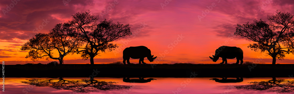 Fototapeta premium Amazing safari.Panorama silhouette tree in africa with sunset.Dark tree on open field dramatic sunrise.Safari theme.Giraffes , Lion , Rhino.with blur shadow.
