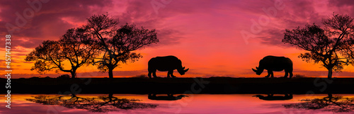 Amazing safari.Panorama silhouette tree in africa with sunset.Dark tree on open field dramatic sunrise.Safari theme.Giraffes   Lion   Rhino.with blur shadow.