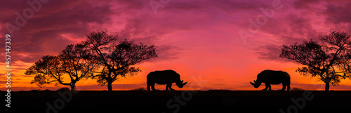 Fototapeta Naklejka Na Ścianę i Meble -  Amazing safari.Panorama silhouette tree in africa with sunset.Dark tree on open field dramatic sunrise.Safari theme.Giraffes , Lion , Rhino.with blur shadow.