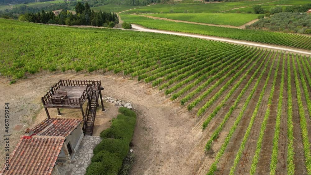 Beautiful aerial shots with drone of the green vineyards in the Chianti Classico area near Pontassieve in the province of Florence.
Tuscan countryside in Italy. Vineyards Agricultural Land.