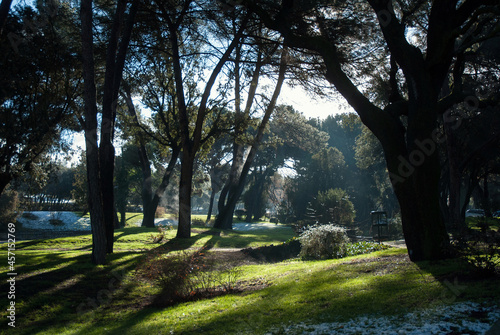Winter morning in the Spanish forest