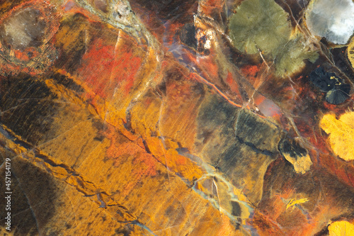 Natural stone background. Full-screen close-up texture of brown-orange-yellow silicified petrified wood with holes of woodworms and translucent chalcedony in cracks, from the Crimea.