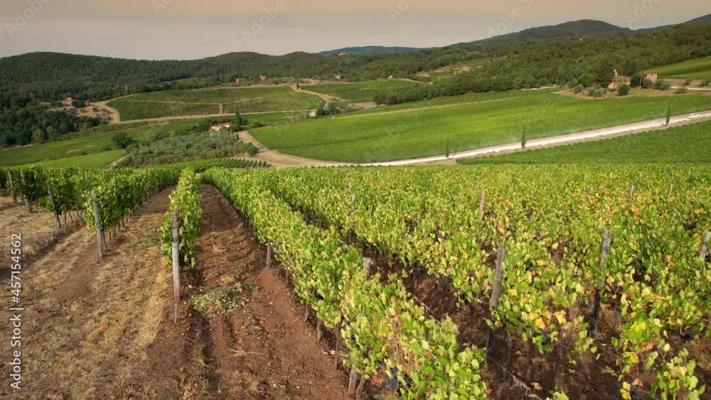 Beautiful aerial shots with drone of the green vineyards in the Chianti Classico area near Pontassieve in the province of Florence.
Tuscan countryside in Italy. Vineyards Agricultural Land.