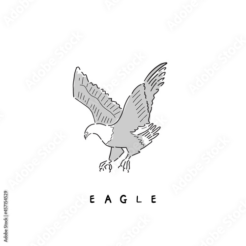Illustration of flying eagle isolated on white background. Vector illustration of hand-drawn icon