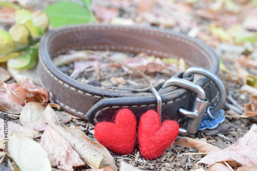 Pet loss collar with two hearts on fallen leaves. 