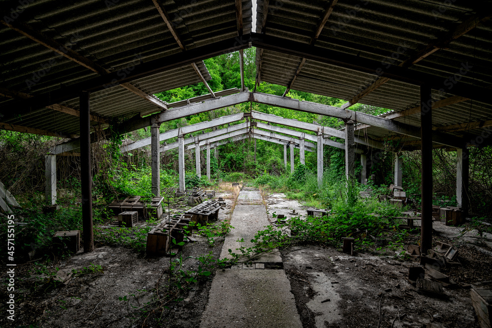 The interior of an abandoned overgrown concrete industrial building with a dilapidated roof.