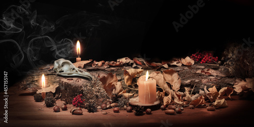 Altar of forest witch. Samhain pagan ritual. Birds skull, ashberry, acorns, dry herbs, pine bark among burning candles in the dark, low key, selected focus. Copy space. photo