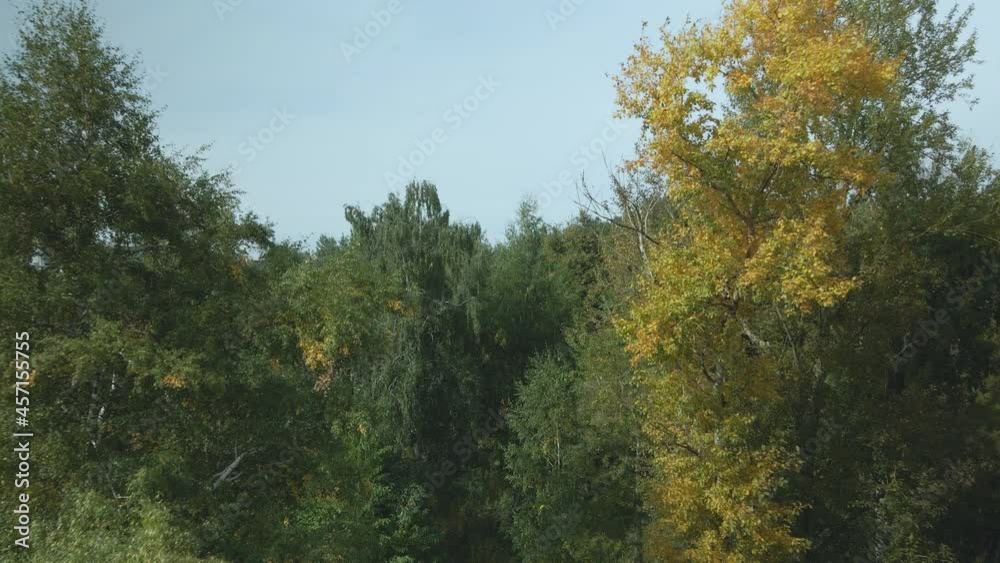 Autumn in the city park. Yellowed leaves are visible on the trees. Aerial photography. Autumn in the city park. Yellowed leaves are visible on the trees. Aerial photography.