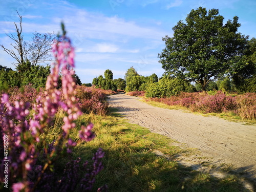 Naturschutzgebiet Lüneburger Heide