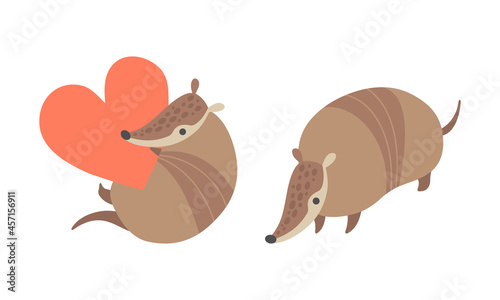 Cute Armadillo Character with Armor Shell Holding Red Heart and Standing Vector Set