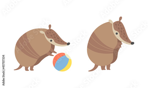 Cute Armadillo Character with Armor Shell Playing with Ball and Standing Vector Set