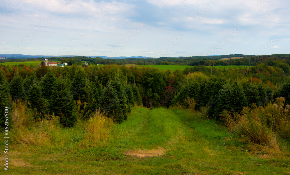 Countryside landscape with field in the province of Quebec, Canada