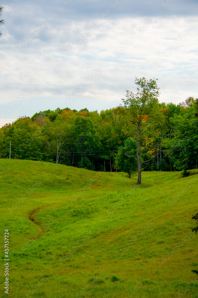 Countryside landscape with field in the province of Quebec, Canada