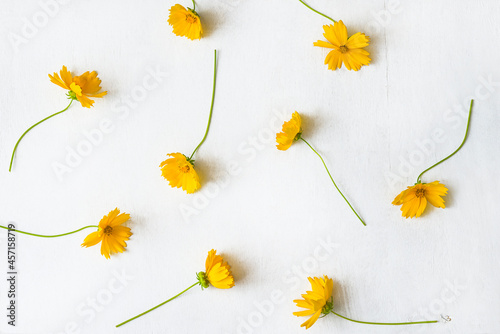 Floral backgrround of yellow daisies on white paint wooden background photo