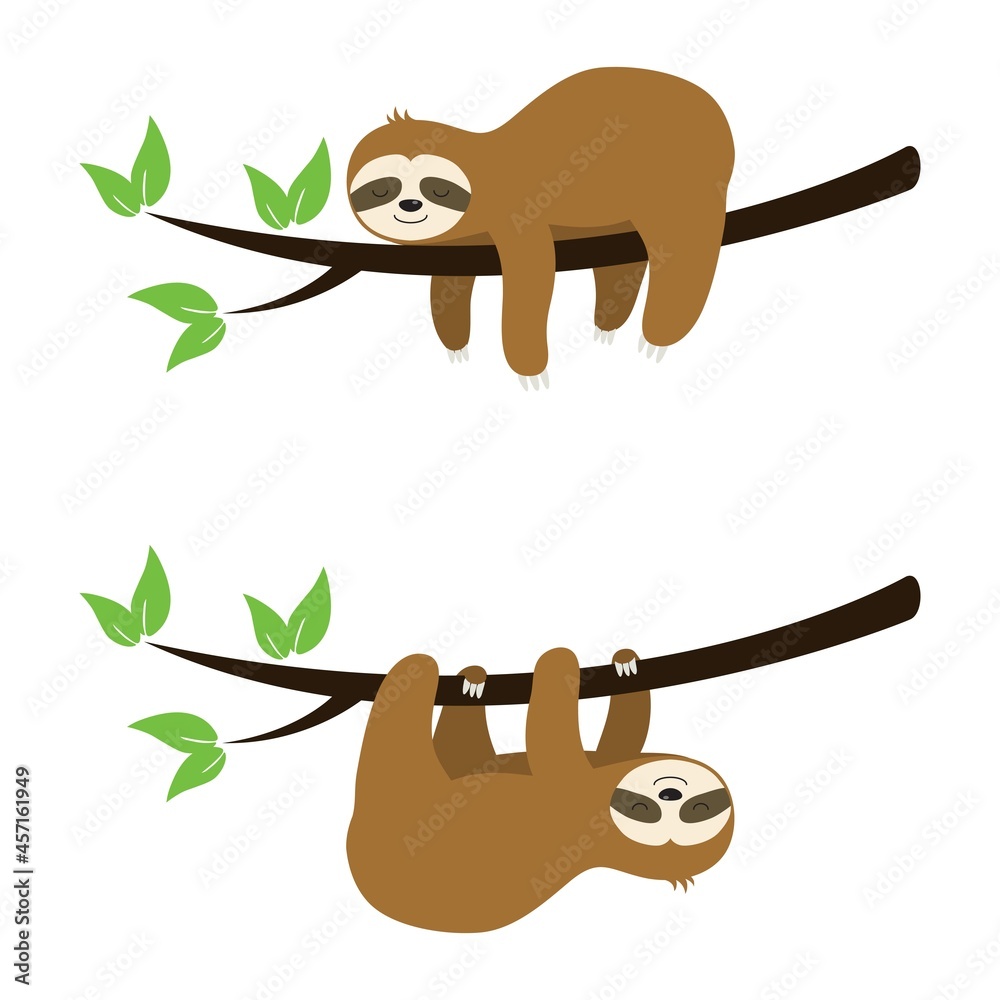 Fototapeta premium vector set of cute sloth cartoon on a tree
