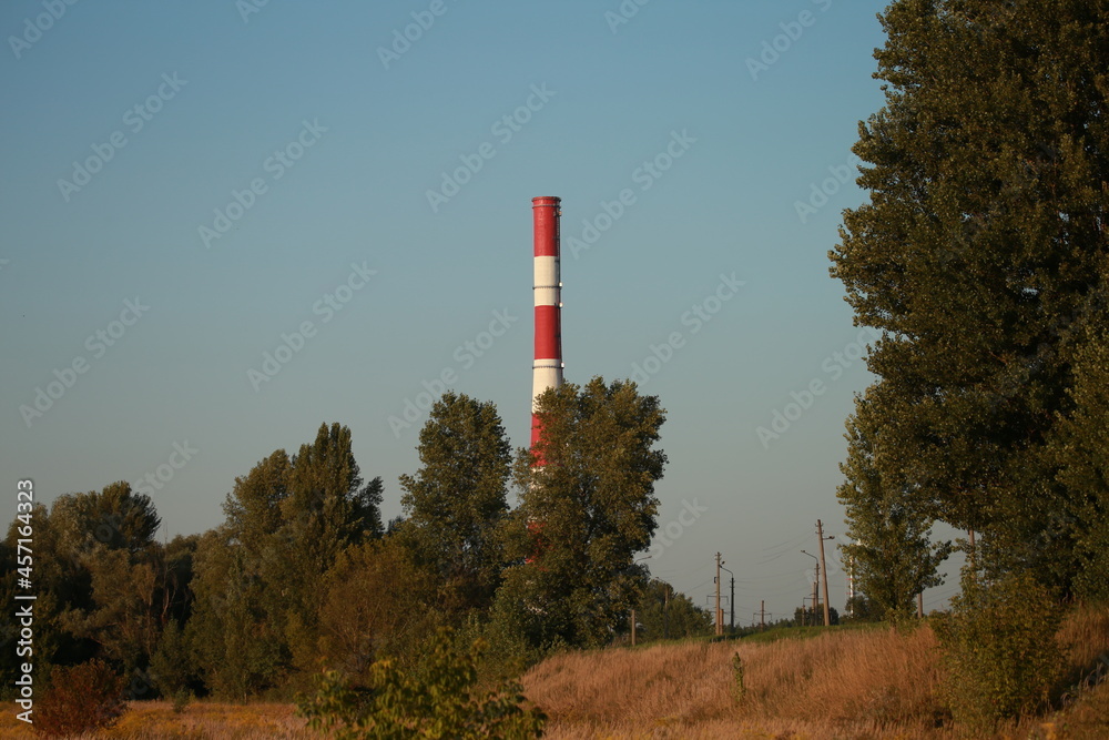 Industrial chimney behind the trees