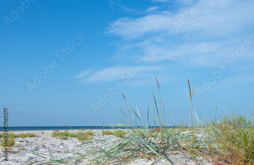 Landscapes of the Black Sea, Dzharylgach Islands and the Dnieper river.