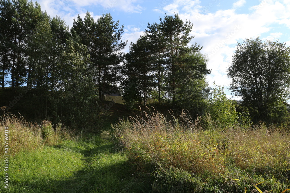 Evening landscape in the countryside