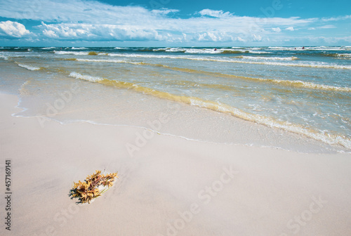 Dueodde beach of Bornholm Denmark photo