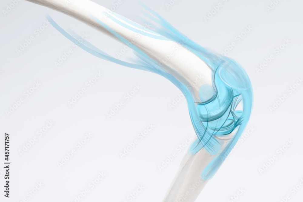 Knee bone and muscles pain, human leg anatomy illustration Stock Photo ...