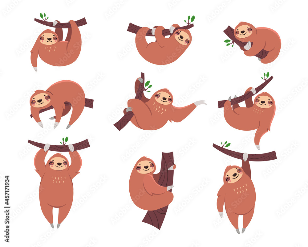 Fototapeta premium Cute sloth cartoon character flat vector illustrations set. Collection of drawings with sleepy animal hanging from branch for children isolated on white background. Zoo, nature, wildlife concept