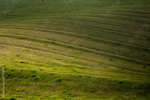 Green hills and grass