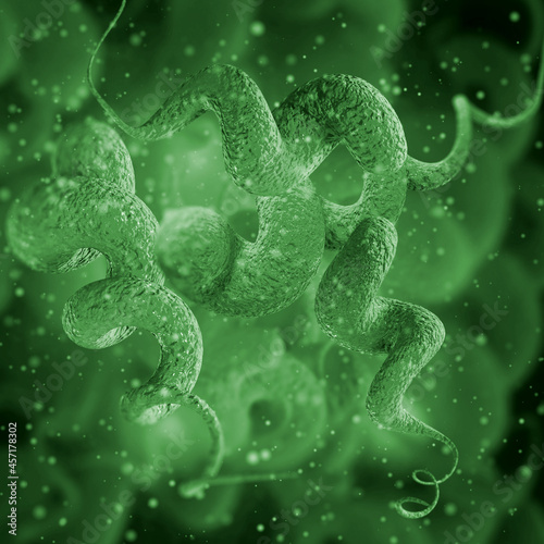 Принти на полотні Medical background, Campylobacter spiral gram-negative microaerophilic mobile ba
