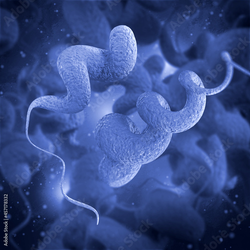 Medical background, Campylobacter spiral gram-negative microaerophilic mobile bacterium, pathogen, causative agent of infectious diseases of the small intestine campylobacteriosis, 3D rendering photo