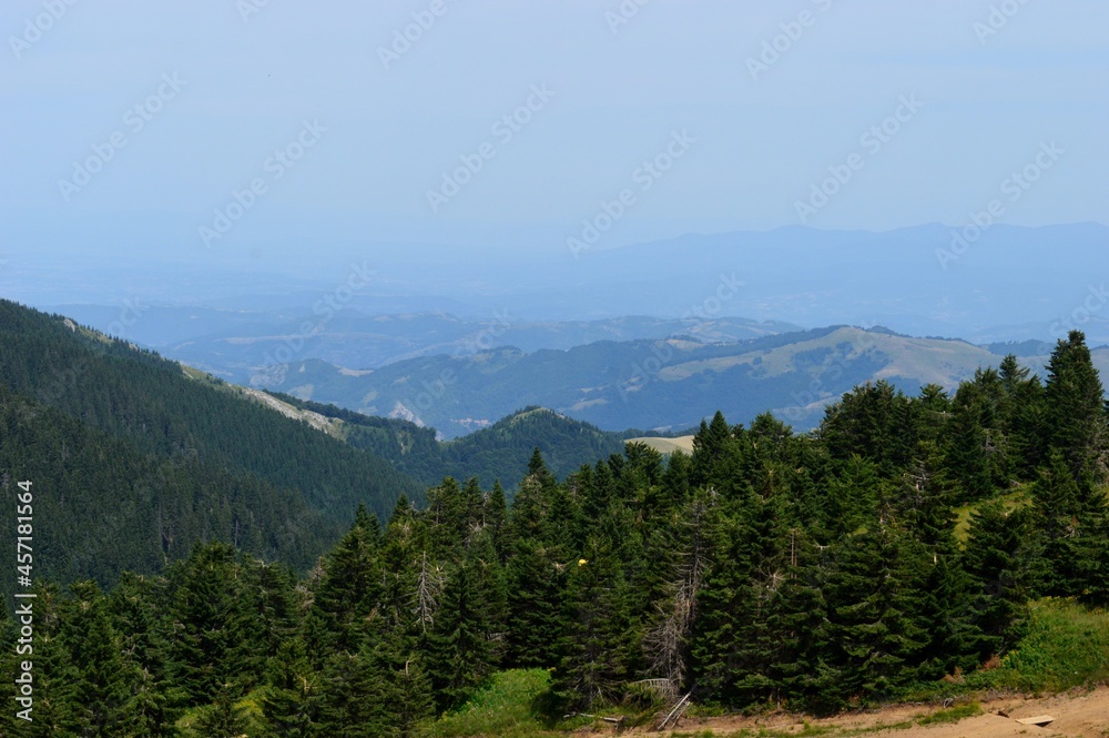 green mountain landscape in spring