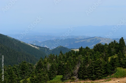 green mountain landscape in spring