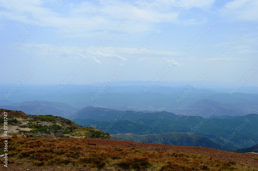 landscape on the mountain in summer