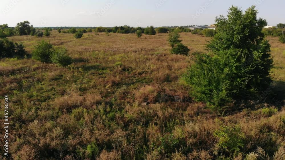 Wild meadow with trees and left Antonov-2 airplanes squadron standing on abandoned training military air base aerial view Wild meadow with trees and left Antonov-2 airplanes squadron standing on abandoned training military air base aerial view