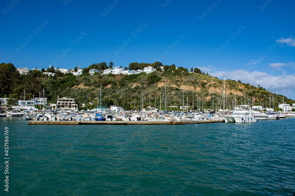 boats in the harbor