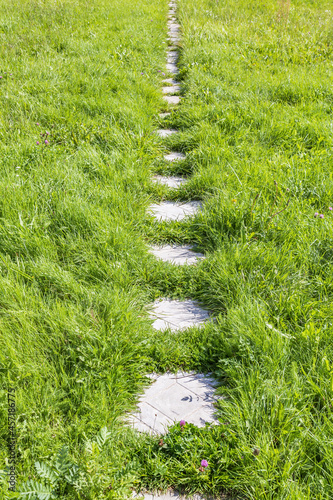 A narrow trail of gray stones among the bright grass