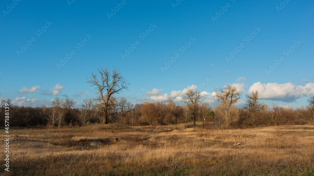 Silhouettes of trees in the meadow and white clouds on the blue sky.