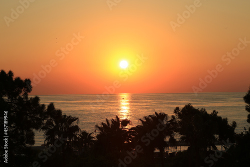 Tropical beach in sunset with coconut palm trees, panoramic view . Vibrant sunrise over the Red Sea , Antalya Turkey . Palm trees are silhouetted against a colourful sky.