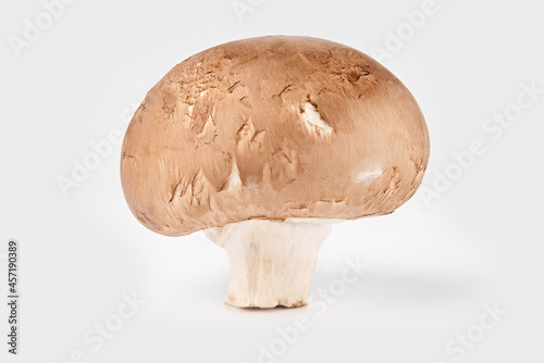 Fresh champignon mushrooms, isolated on white background. 