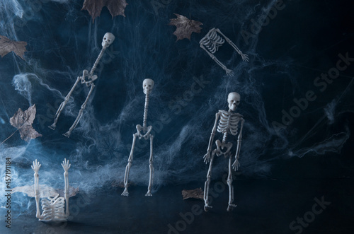 Decorative Helowin background. Decorative skeletons in a web on a black background, monochrome, selective focus © Aleksandra