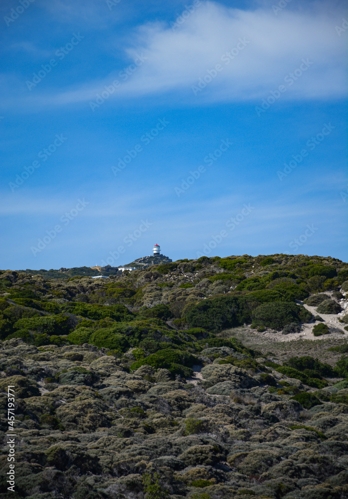 The Light House - Green Cape Point The Light House - Green Cape Point