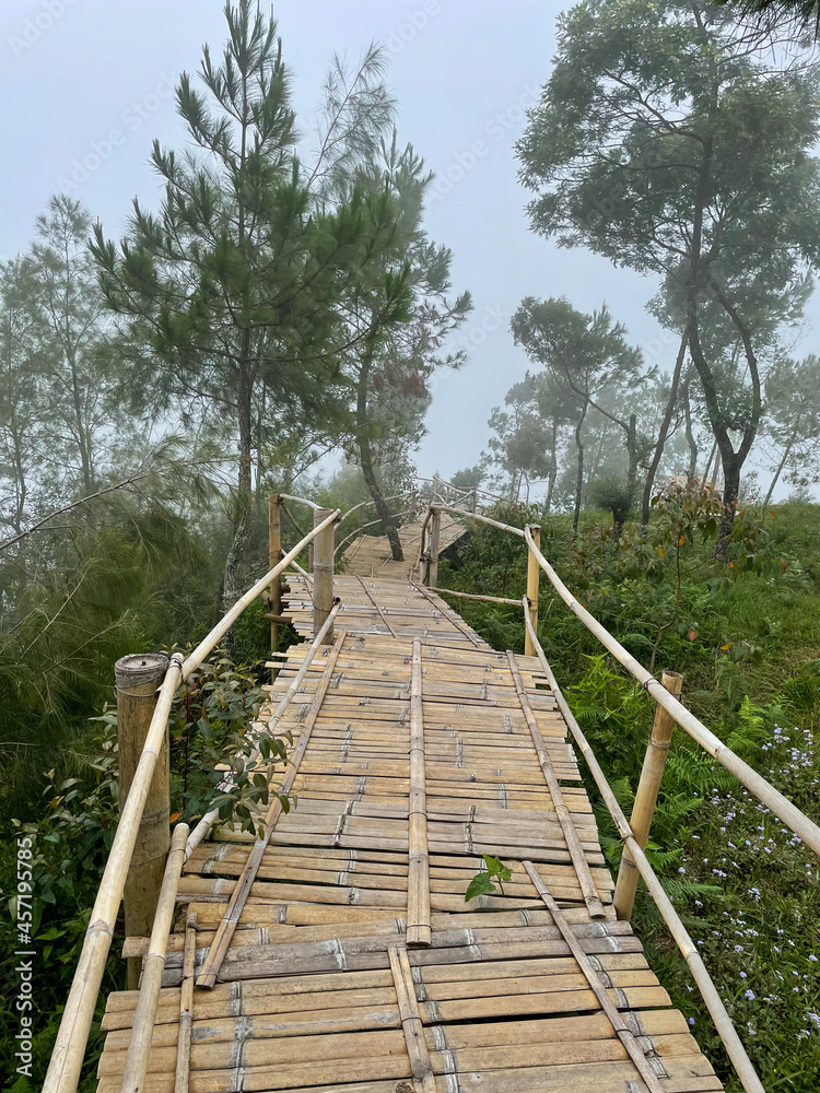 a bamboo bridge on the valley. misty forest that is freezing yet looks peaceful. the enjoyable place to escape.