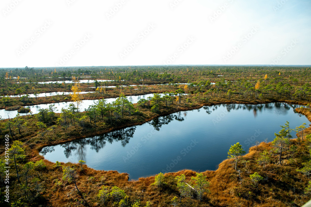 Autumn landscape of bogs in the Kemeri National Park