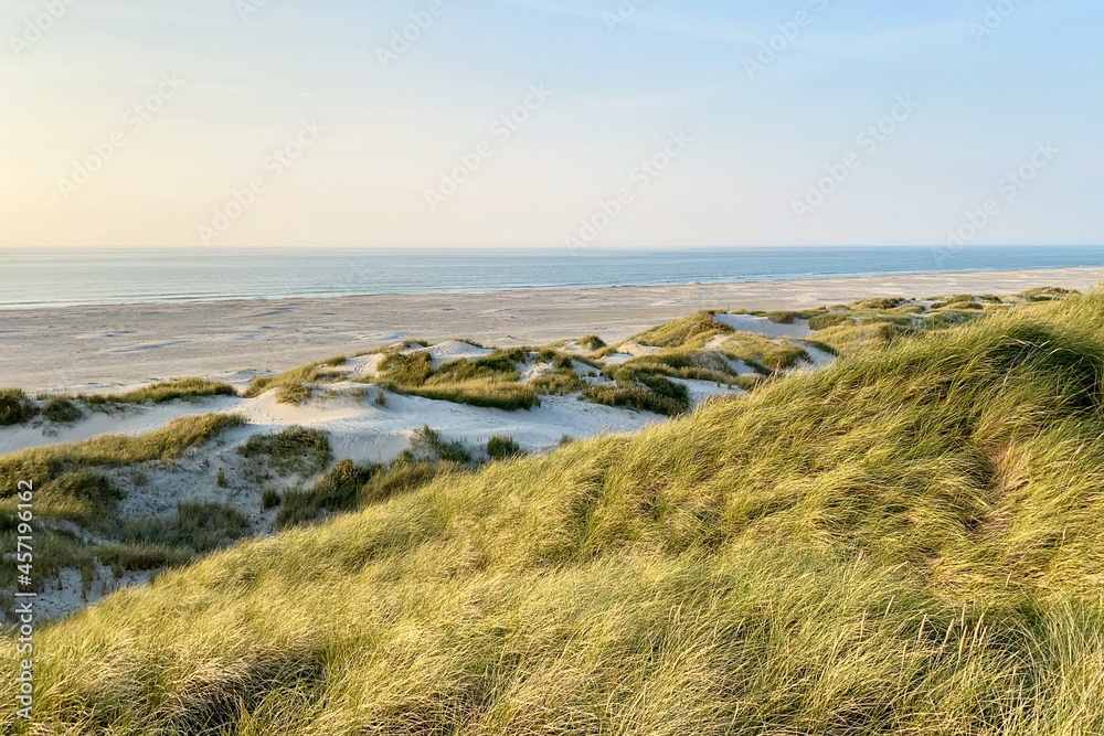 Dunes and beach on the Danish North Sea coast - obrazy, fototapety, plakaty 