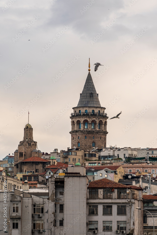 Obraz premium View of galata tower at sunrise and birds