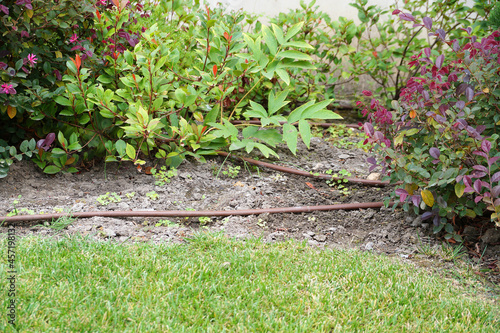 automatic drip irrigation system in the garden or park