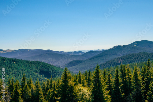green cone-shaped treetops against the backdrop of mountains and blue sky. High quality photo © Inna