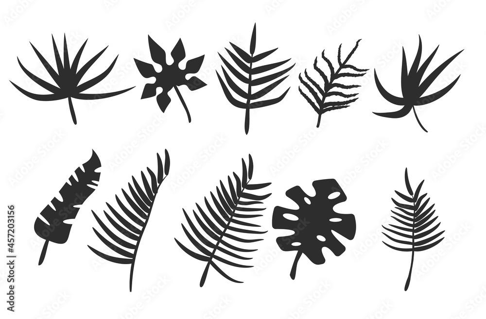Obraz premium Black leaves or foliage silhouettes isolated on white background. Set of vector tropical leaf shapes vector illustration.