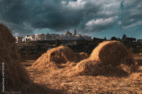 Locorotondo (Ba) Paesaggio in Valle d'Itria 