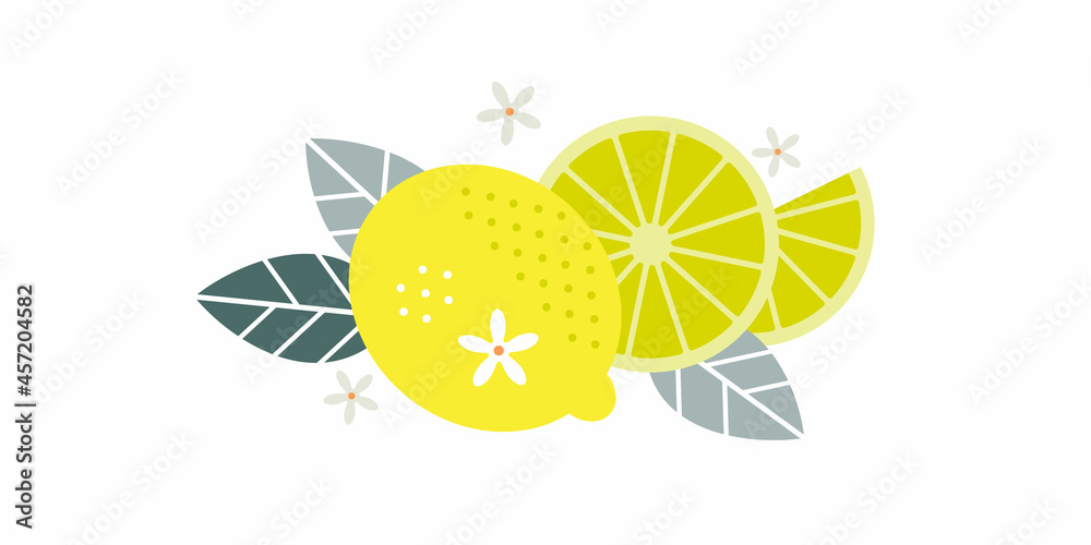 Lemon fruits. Flat illustration. Whole and cut fruits, leaves and flowers.