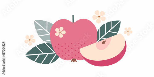 Red apple fruit. Flat illustration. Whole and cut fruits, apple pits, leaves and flowers.