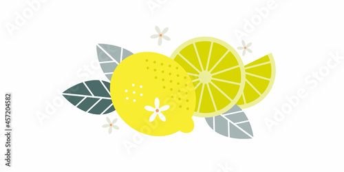 Lemon fruits. Flat illustration. Whole and cut fruits, leaves and flowers.